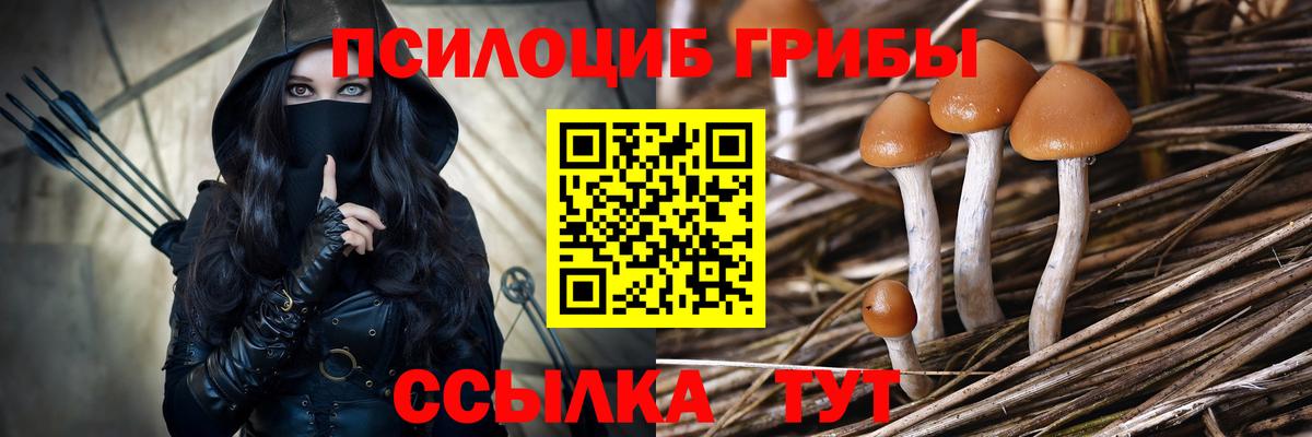 Южноуральск  Галлюциногенные грибы ЛСД  Вход с VPN 